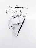 Je plumerai les canards en rentrant